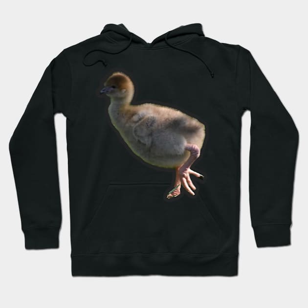 Southern Screamer chick Hoodie by Sharonzoolady